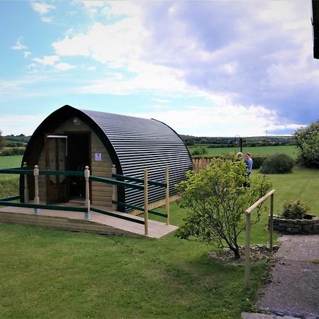 Shanagarry / Ballycotton Glamping Pod Корк Екстериор снимка